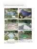 ปัญหาน้ำเสียบริเวณปลายท่อโรงงาน 19 ไร่ หมู่ที่ 4 ตำบลท้ายเกา